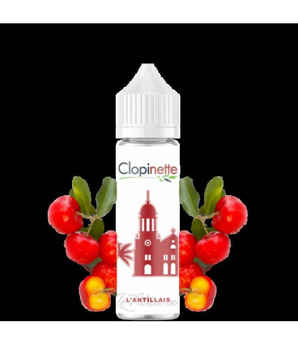 L ANTILLAIS CLOPINETTE 5050 0MG 50ML